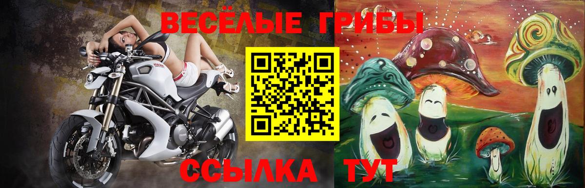 Галлюциногенные грибы прущие грибы Улан-Удэ